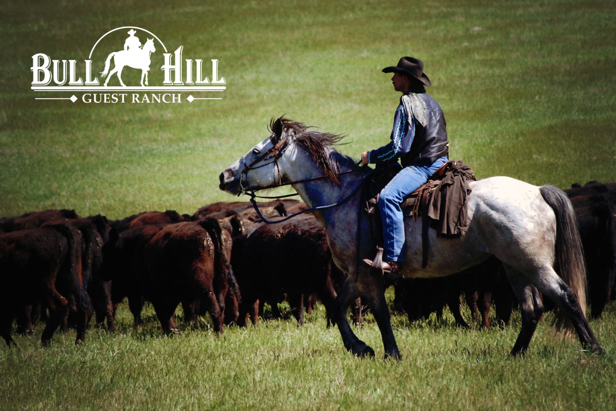 Bull Hill Guest Ranch